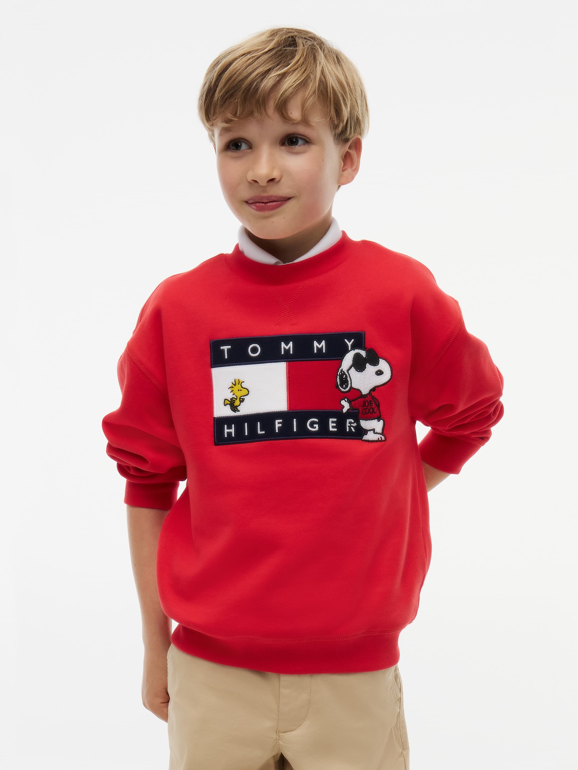 Peanuts® Flag Graphic Embroidery Jumper